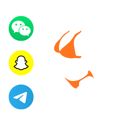 Live private chat on Nude Live Chat